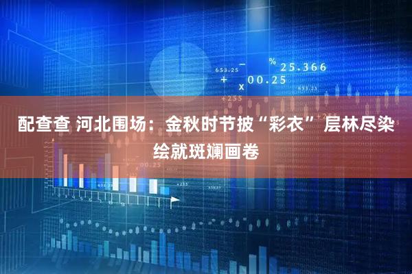 配查查 河北围场：金秋时节披“彩衣” 层林尽染绘就斑斓画卷
